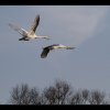20150317_214_DxO